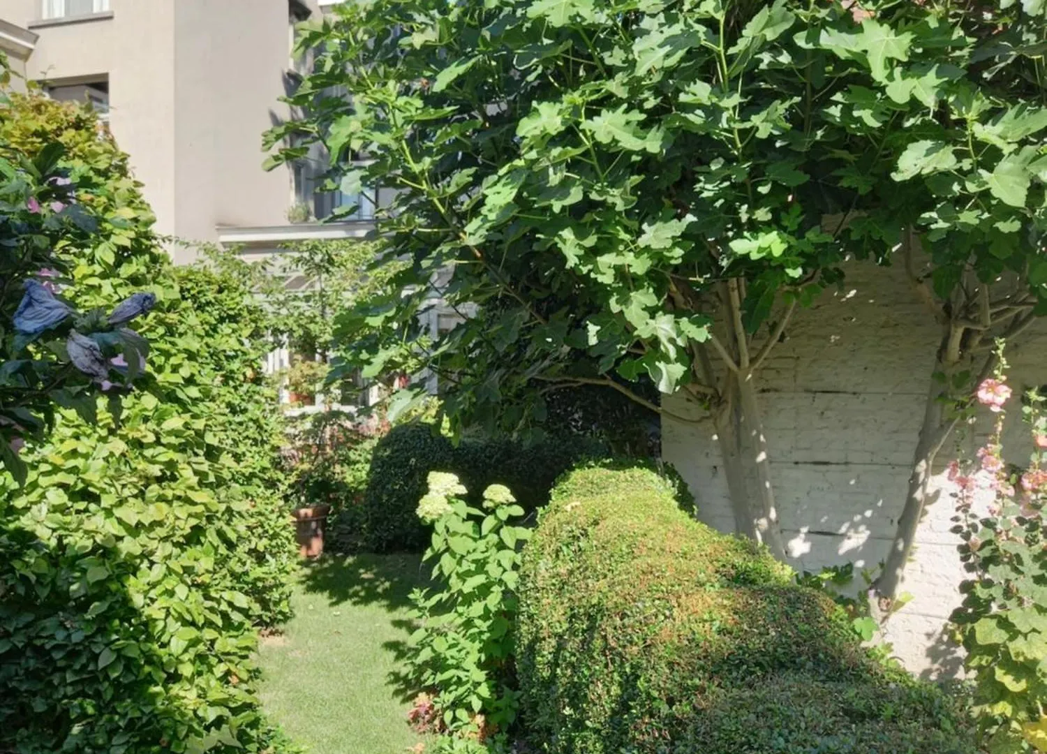 Huis Dujardin Bed&Breakfast Anversa Belgio