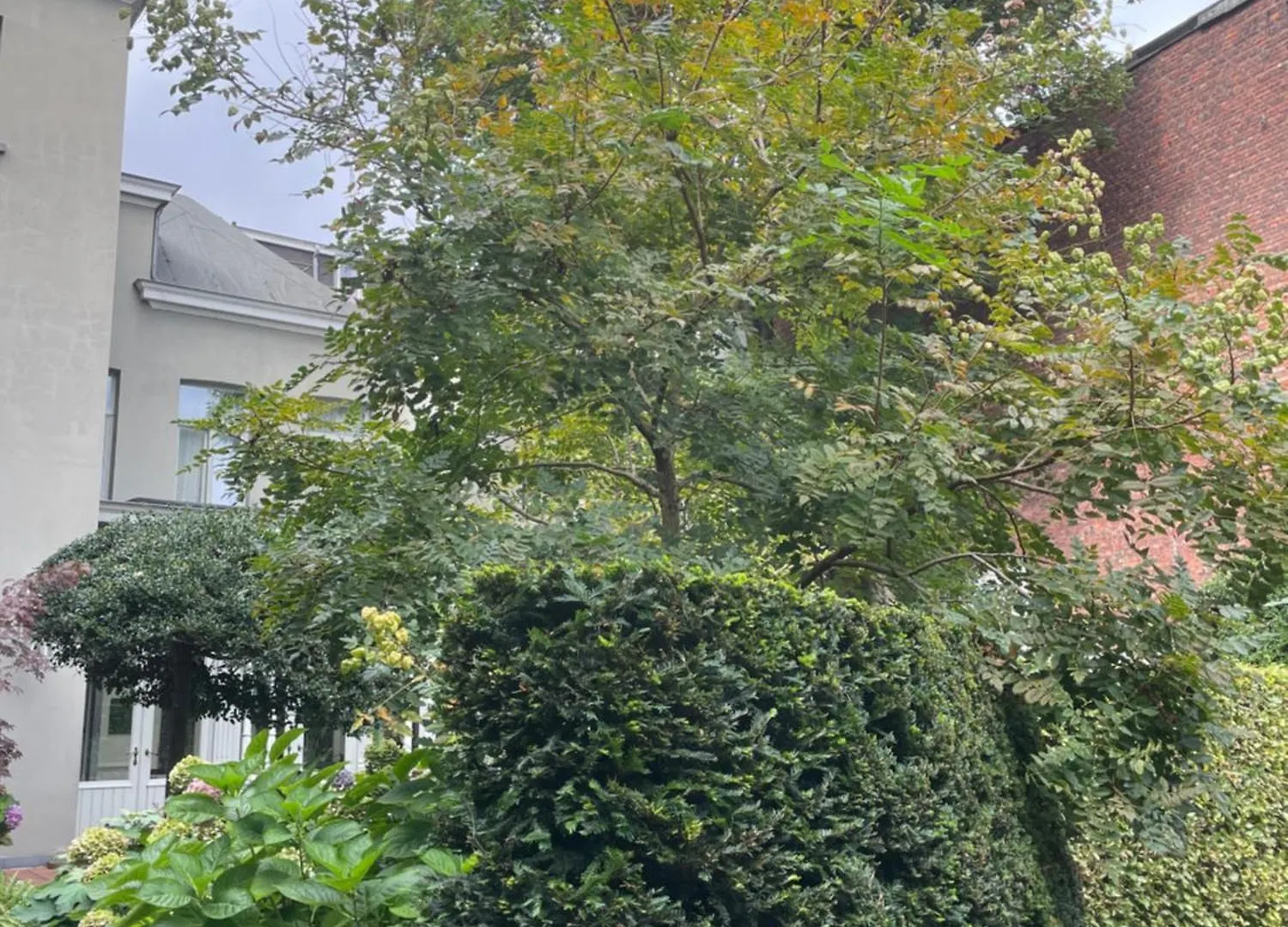 Huis Dujardin Bed&Breakfast Anversa